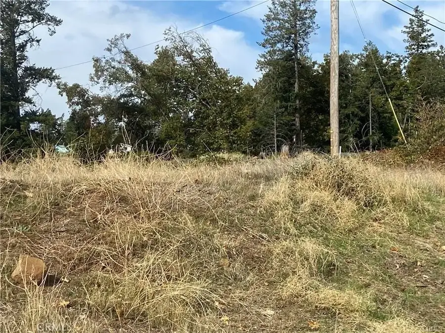 13690 Andover, Magalia, CA 95954 - #3