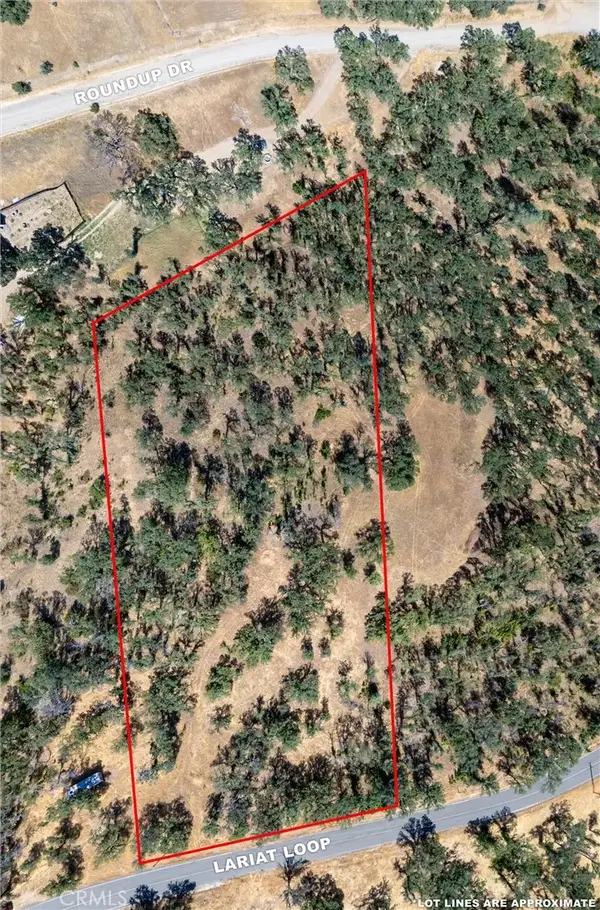 16398 Lariat, Corning, CA 96021