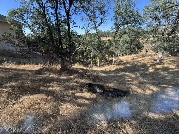 19932 Freshwater, Cottonwood, CA 96022