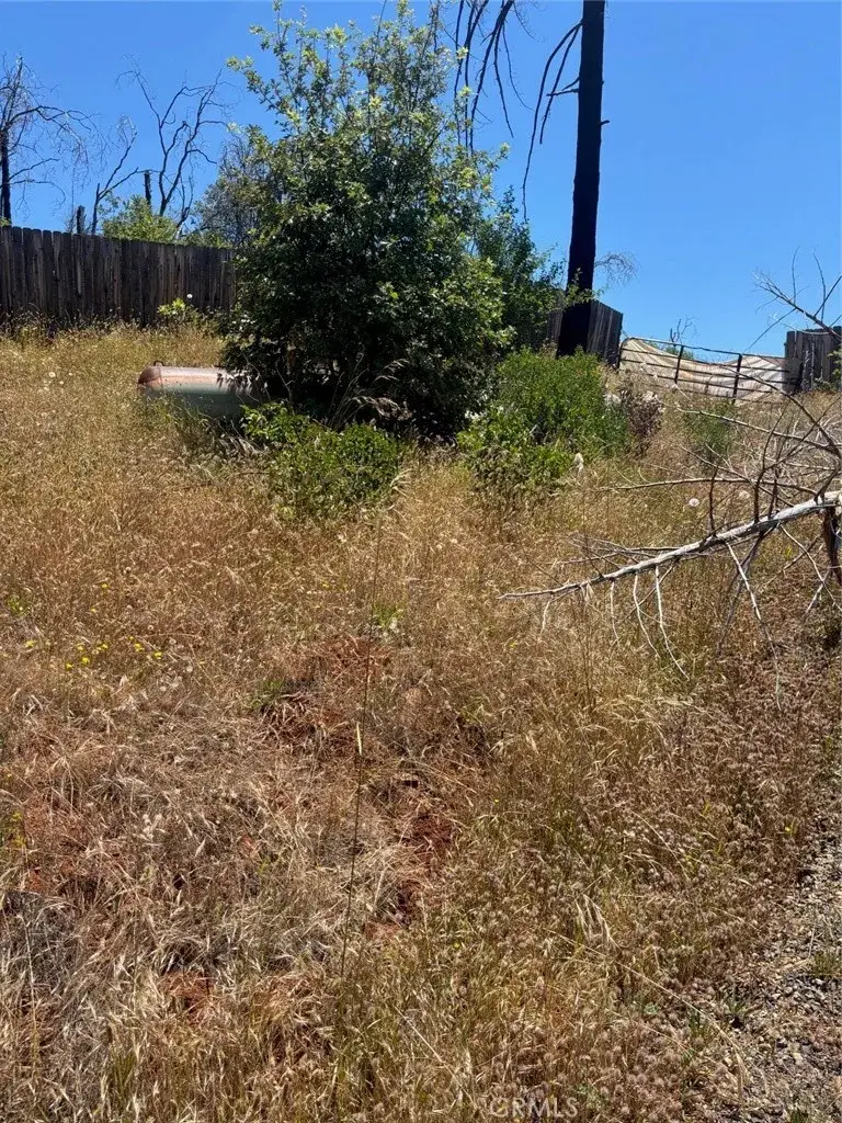 201 Pine Tree, Berry Creek, CA 95916 - #3