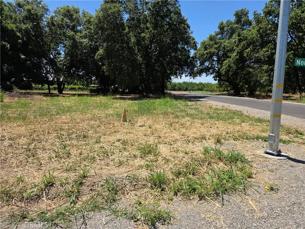 0 N. 4th Street, Tehama, CA 96090 - #1