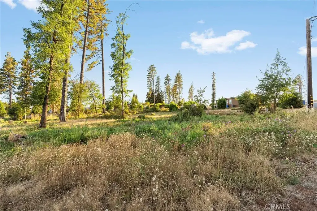 6503 Moss, Paradise, CA 95969 - #1