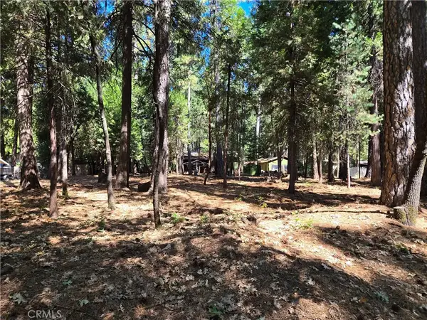 0 Tikker Ln, Magalia, CA 95954