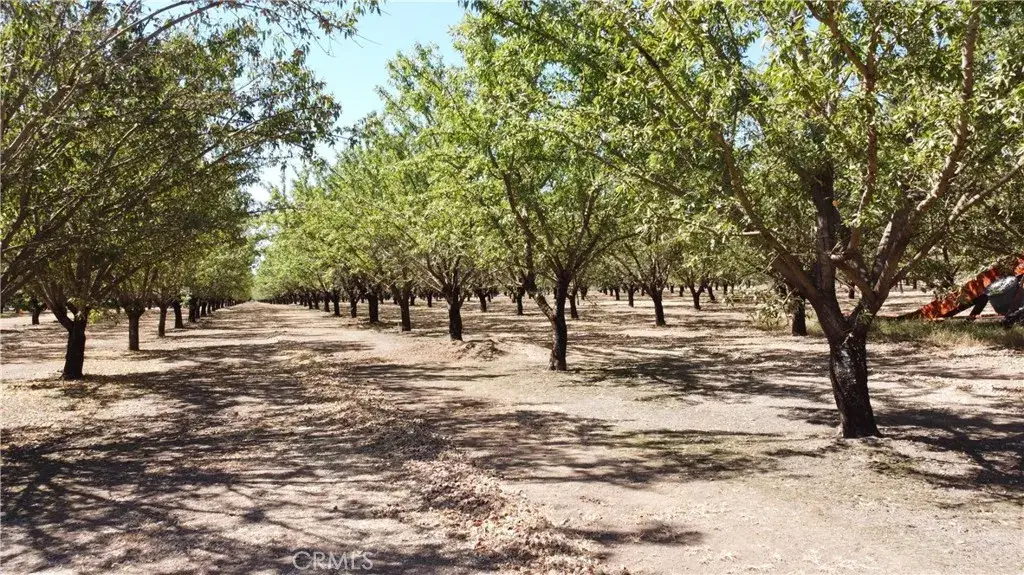 0 Dayton West Road, Durham, CA 95938 - #1