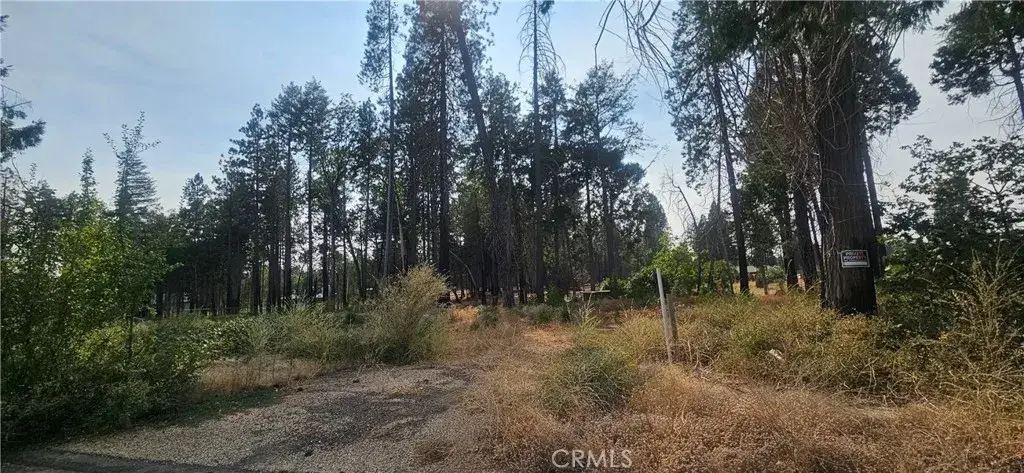 13901 W Park, Magalia, CA 95954 - #1