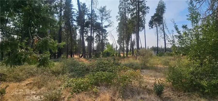 13901 W Park, Magalia, CA 95954 - #2