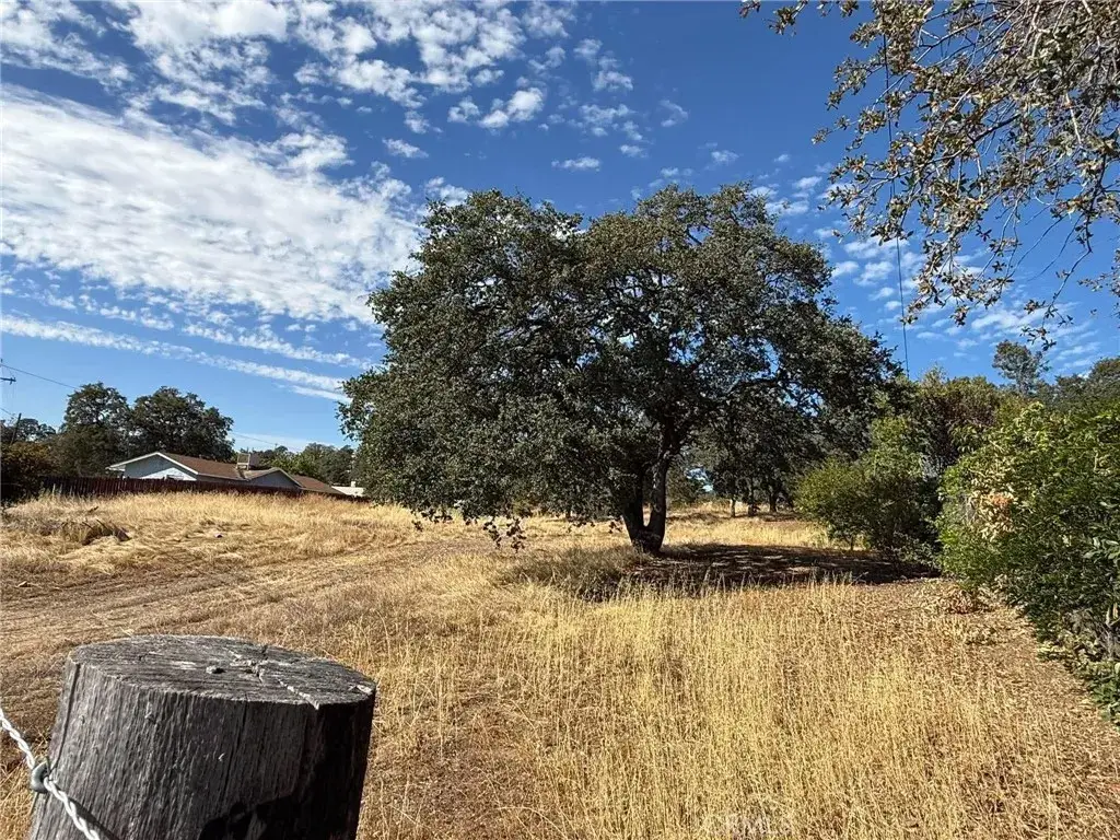 3431 Oro Bangor, Oroville, CA 95966 - #1