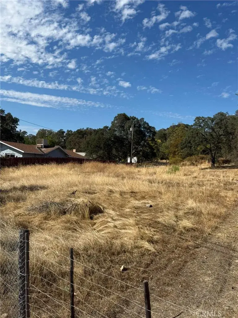 3431 Oro Bangor, Oroville, CA 95966 - #2