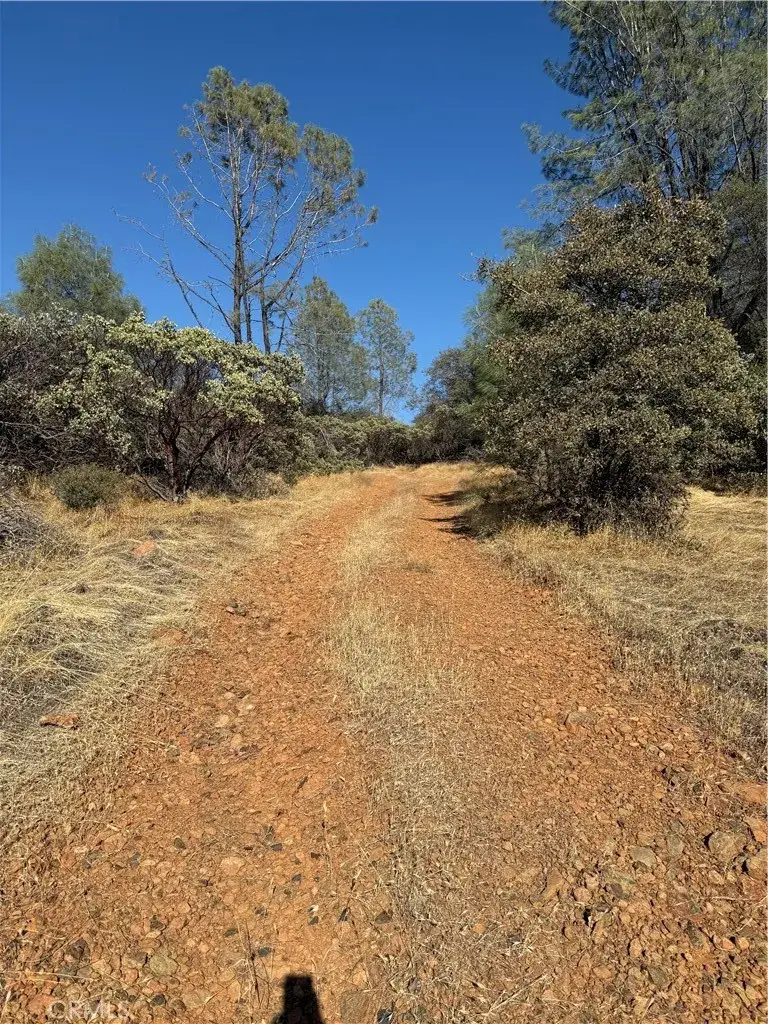 0 Oregon Gulch, Oroville, CA 95965 - #2
