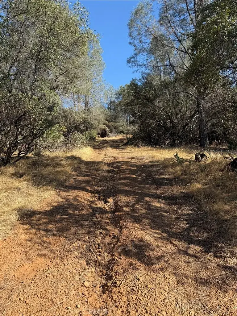 0 Oregon Gulch, Oroville, CA 95965 - #3