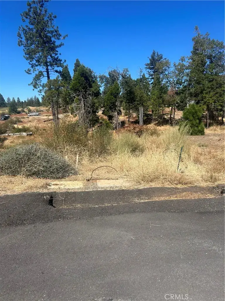 13665 Fritz, Magalia, CA 95954 - #1