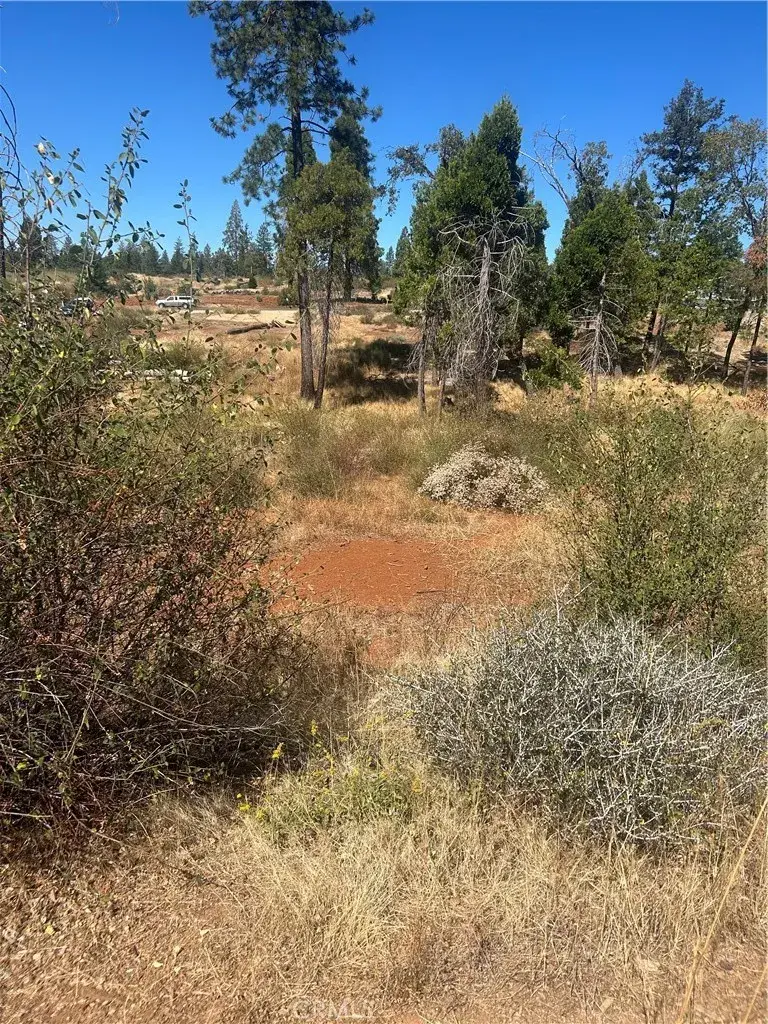 13665 Fritz, Magalia, CA 95954 - #3