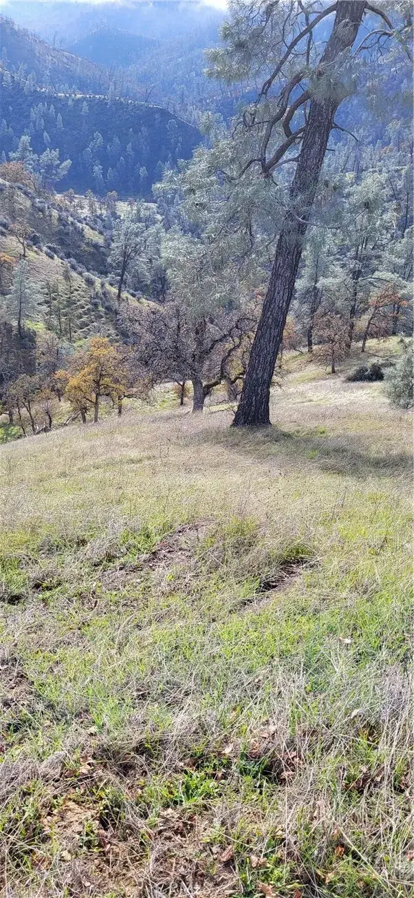 0 Cottonwood Creek, Igo, CA 96047 - #1