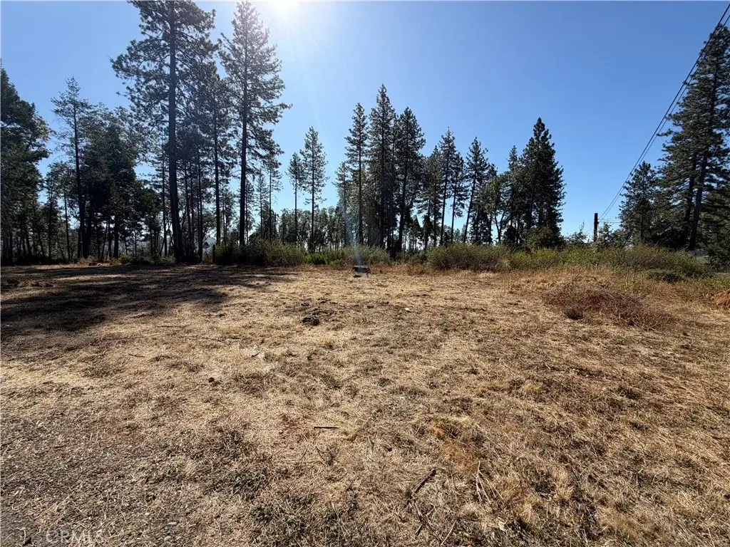 14318 Skyway, Magalia, CA 95954 - #1