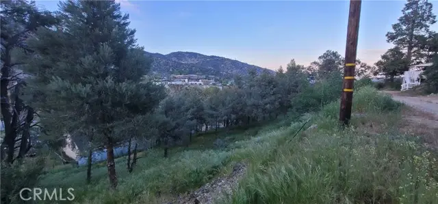 #3