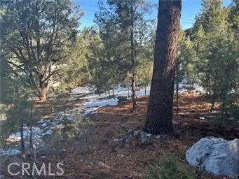 1604 Linden, Pine Mountain Club, CA 93222 - Image #2