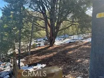 1604 Linden, Pine Mountain Club, CA 93222 - Image #3