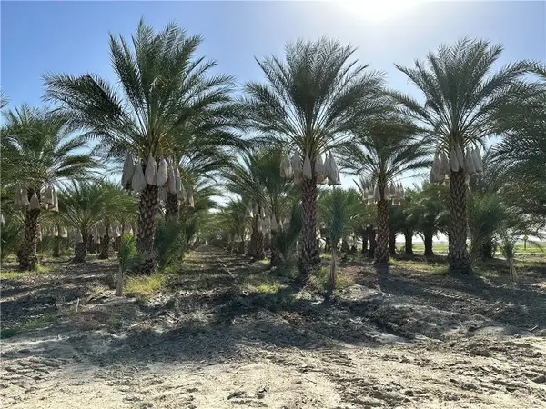 60504 Jackson, Unincorporated, CA 92274