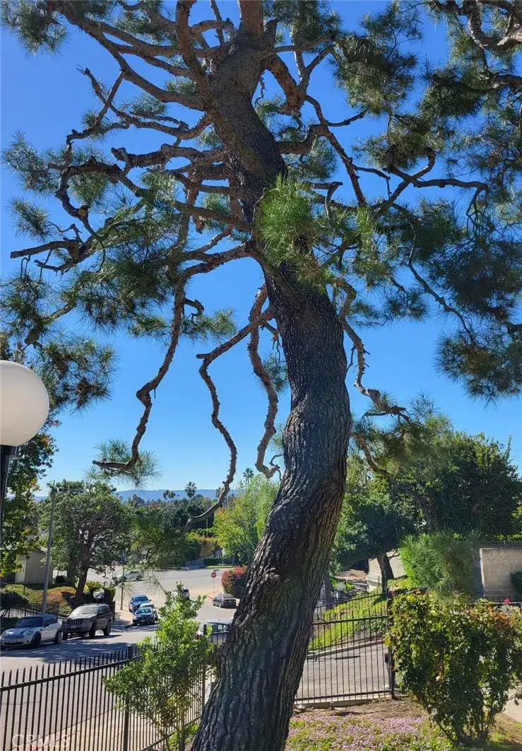 15775 Midwood Drive #3, Granada Hills, CA 91344 - Image #3