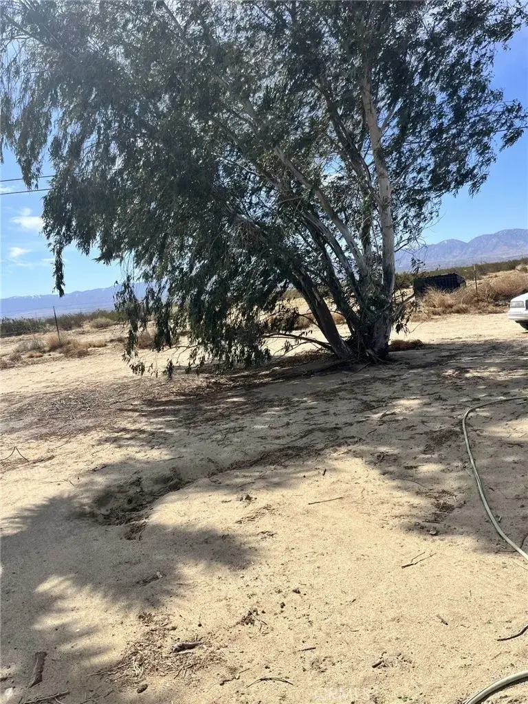 19507 E Avenue Q, Palmdale, CA 93591 - Image #2