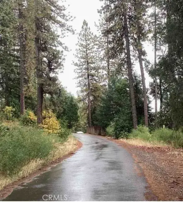 14669 Old Camptonville Road, Camptonville, CA 95922 - Image #2