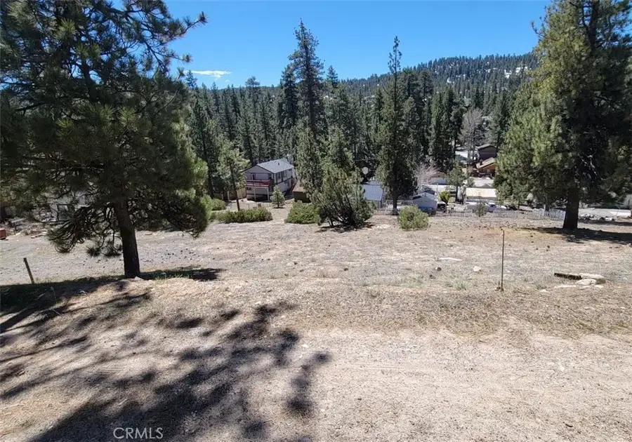 39243 Crest, Big Bear Lake, CA 92315 - #3