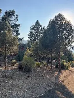 15120 Acacia, Pine Mountain Club, CA 93222 - Image #2