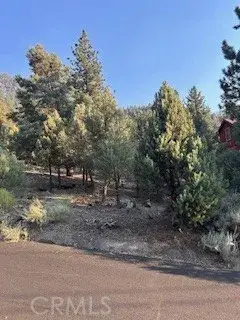 15120 Acacia, Pine Mountain Club, CA 93222 - Image #3