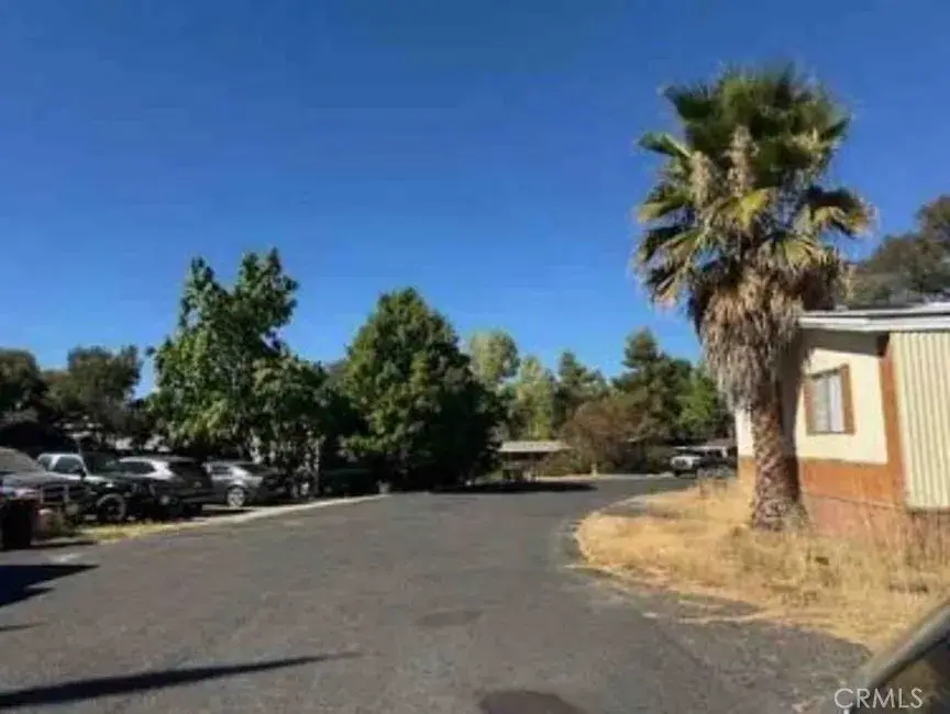 892 Morado, Copperopolis, CA 95228 - Image #3