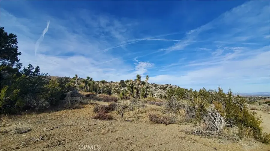 0 Vicinity Ross Road East, Juniper Hills, CA 93543 - Image #3