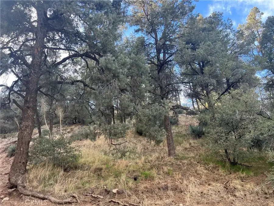 0 Encino And Truman, Frazier Park, CA 93225 - Image #2