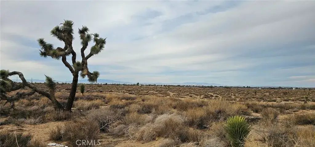 0 Avenue L4 / 23rd St E, Palmdale, CA 93550 - Image #1