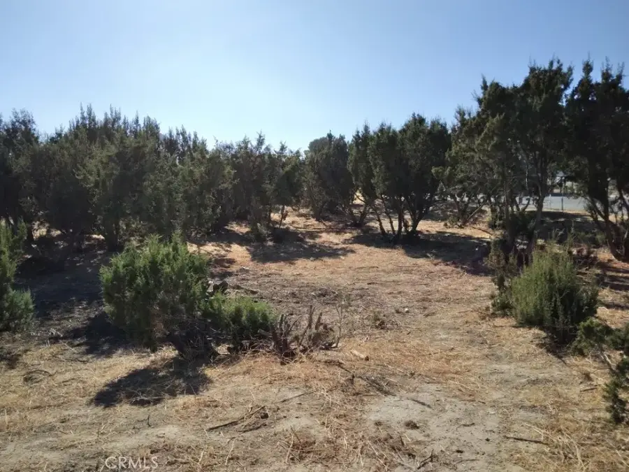 0 Agua Dulce Canyon, Santa Clarita, CA 91350 - Image #3