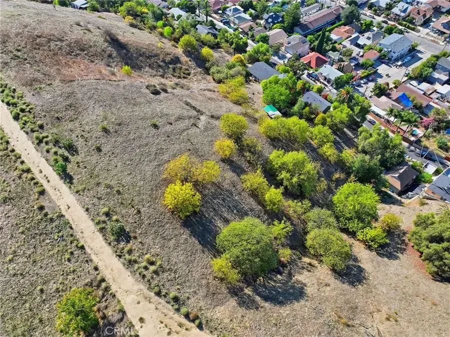 2921 Thomas, Los Angeles, CA 90034 - Image #3