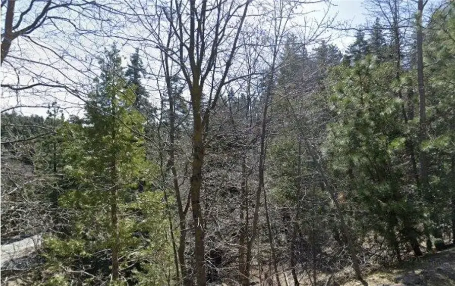 23657 Lo Ln, Twin Peaks, CA 92391 - Image #2