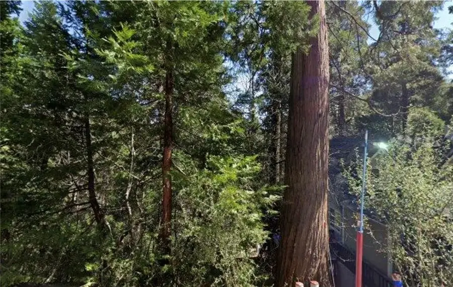 26212 Lake Forest Dr, Twin Peaks, CA 92391 - Image #2