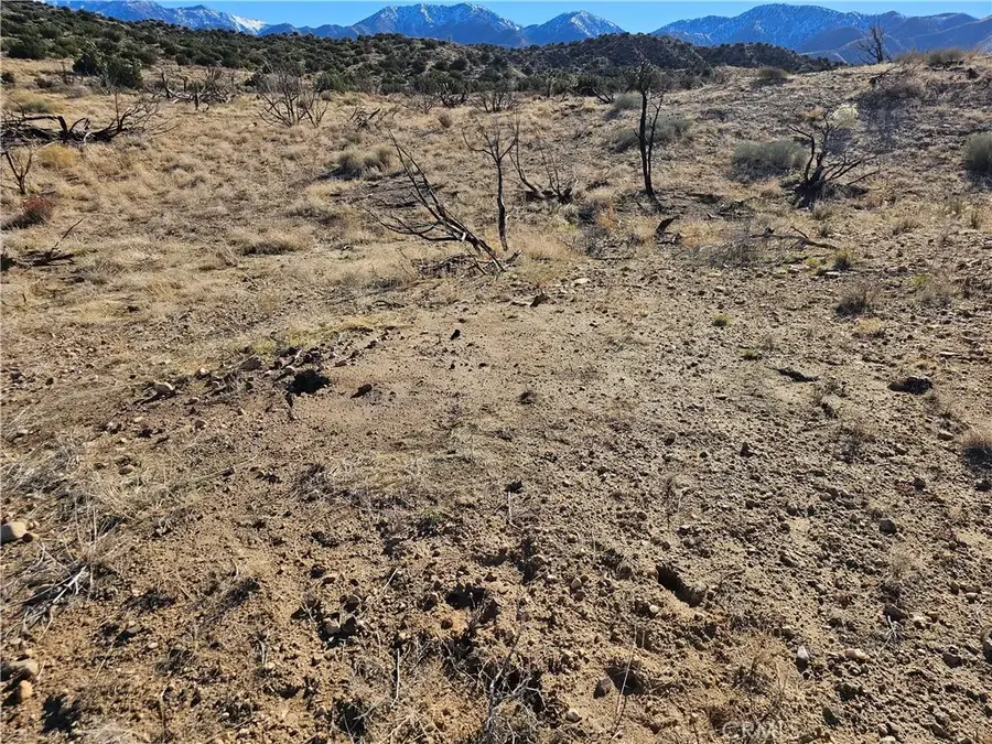 6 128th East, Juniper Hills, CA 93543 - Image #2