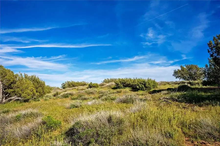 48725 Shallow Springs Road North, Leona Valley, CA 93551 - Image #2