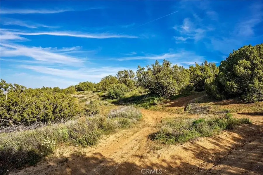 48725 Shallow Springs Road North, Leona Valley, CA 93551 - Image #3