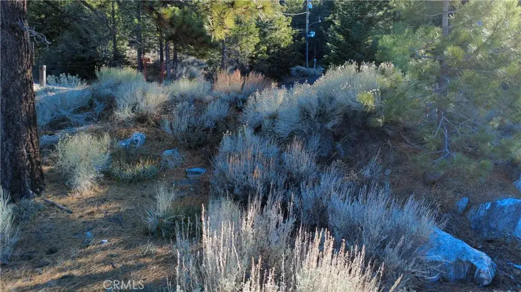 15113 Chestnut, Pine Mountain Club, CA 93222 - Image #1