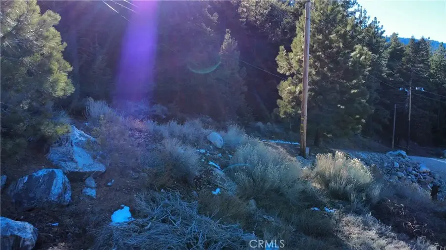 15113 Chestnut, Pine Mountain Club, CA 93222 - Image #2