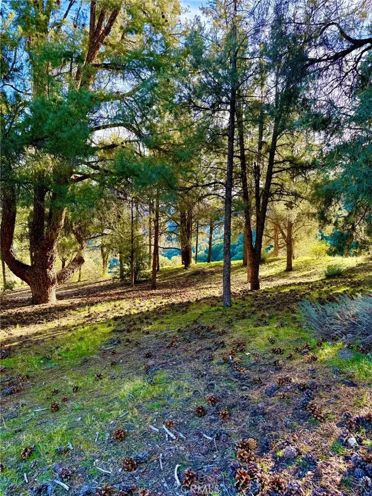 2604 Tirol, Pine Mountain Club, CA 93225 - Image #1