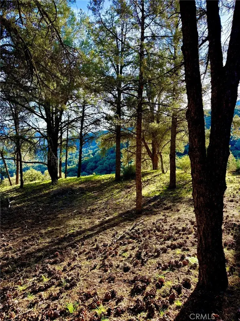 2604 Tirol, Pine Mountain Club, CA 93225 - Image #3