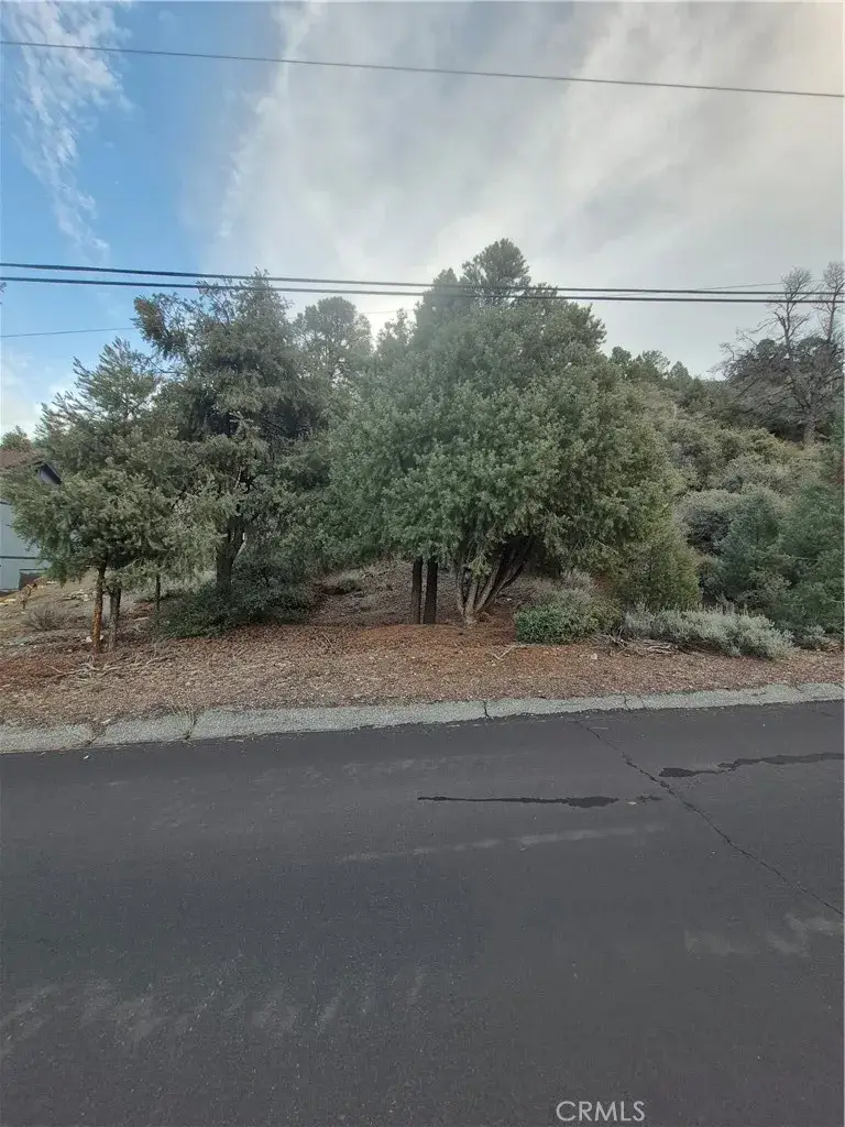 2024 Woodland Drive, Pine Mountain Club, CA 93222 - #1