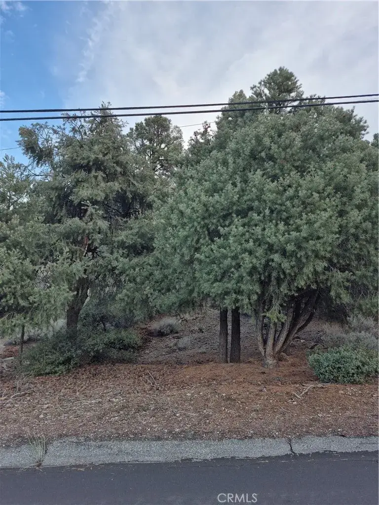 2024 Woodland Drive, Pine Mountain Club, CA 93222 - #2