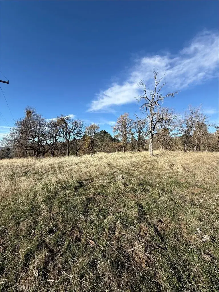 0 Peregrine, Tehachapi, CA 93561 - #2