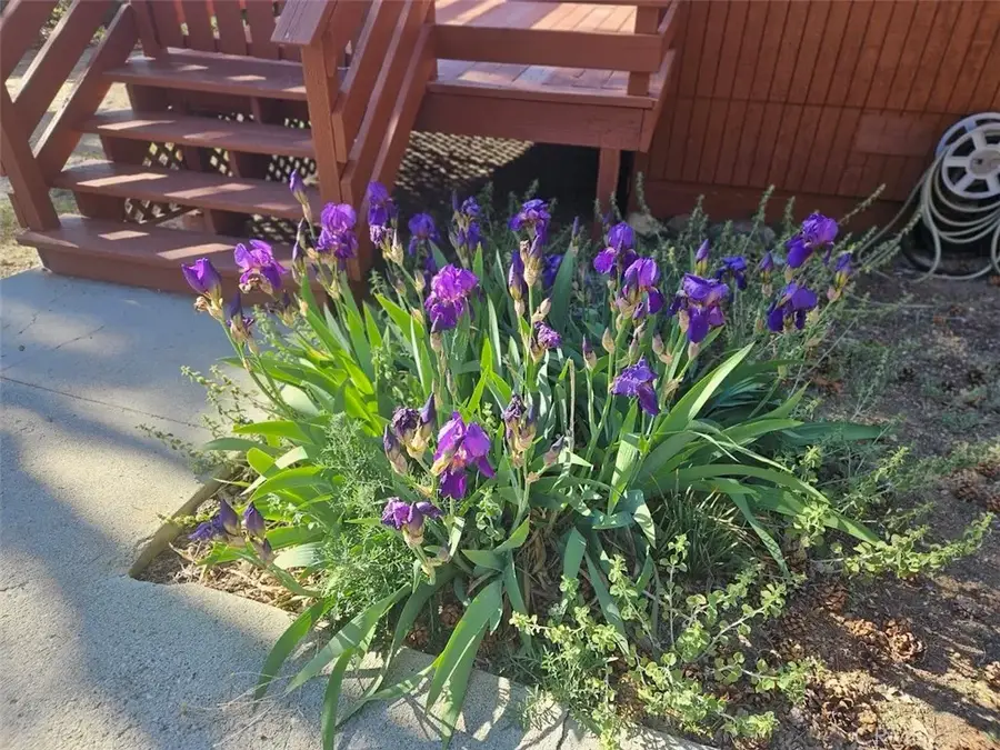 15513 Live Oak Way, Pine Mountain Club, CA 93222 - #3