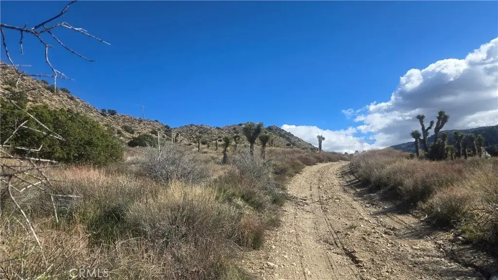 0 Pinon Road To Mescal Highlands, Llano, CA 93544 - #1