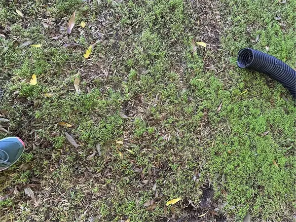 4327 Camello Road, Woodland Hills, CA 91364