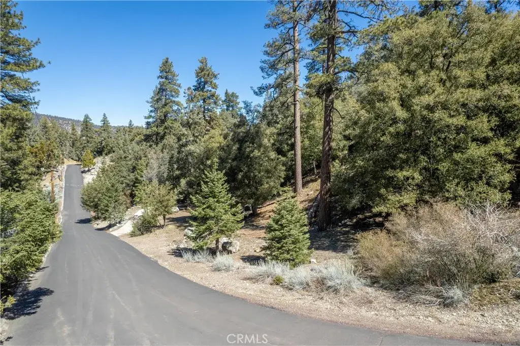 1300 Banff, Pine Mountain Club, CA 93222 - #1